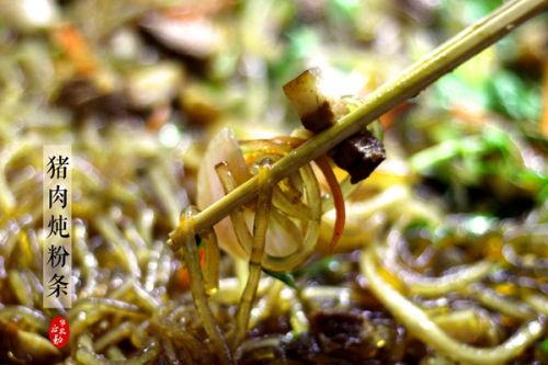 东北美食之猪肉炖粉条