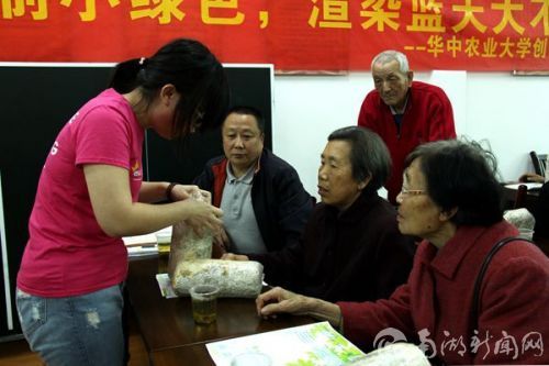 创行成员向居民展示菌包