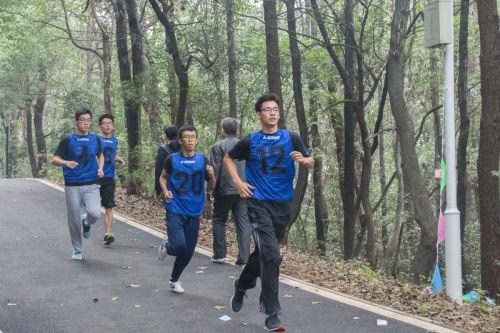 奔跑在狮子山绿道上