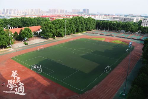 13.是否渴望到运动场上,来一次大汗淋漓的酣畅。