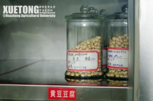 25.标明到货日期和供应商等