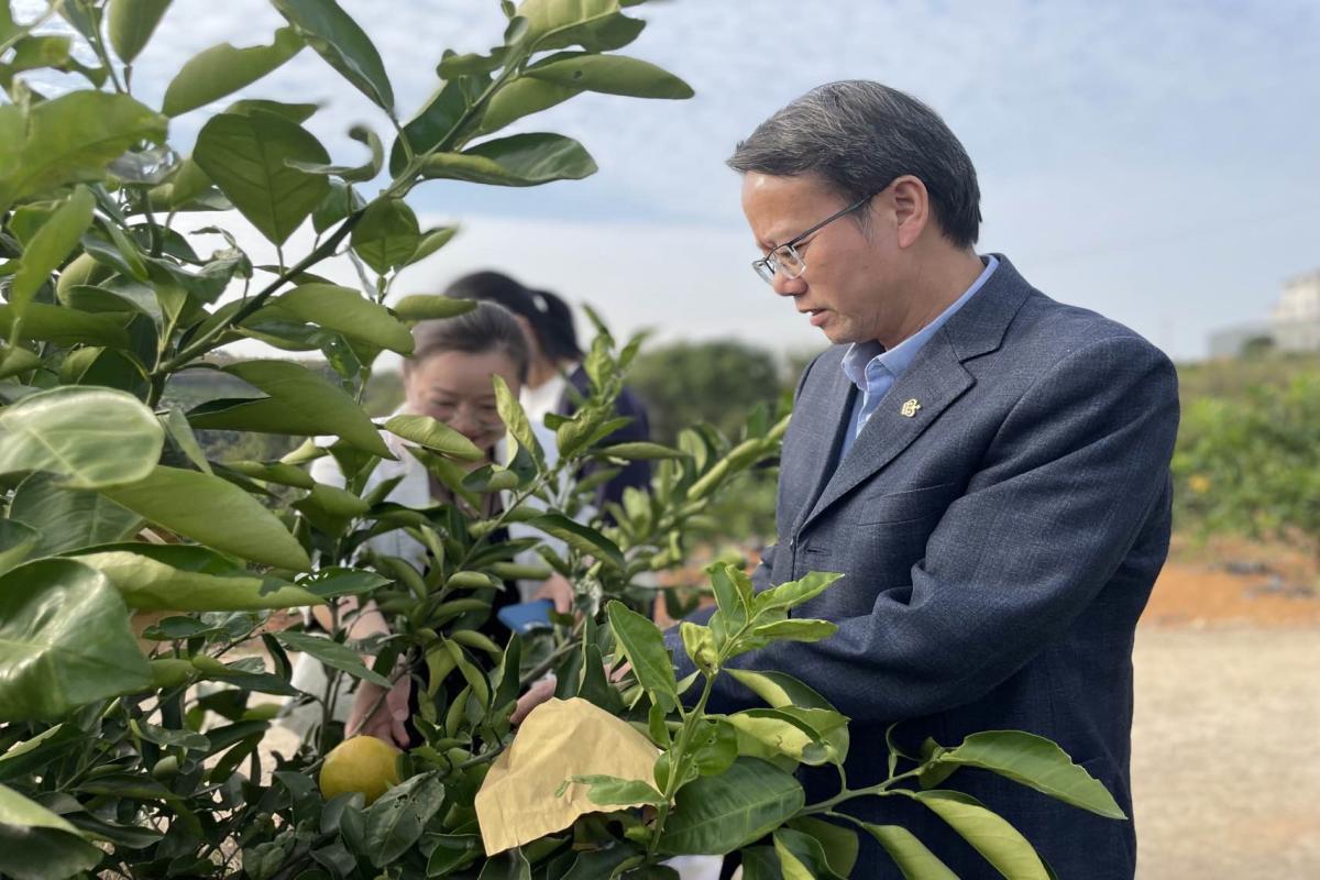 伊华林与种植大户交流(1)