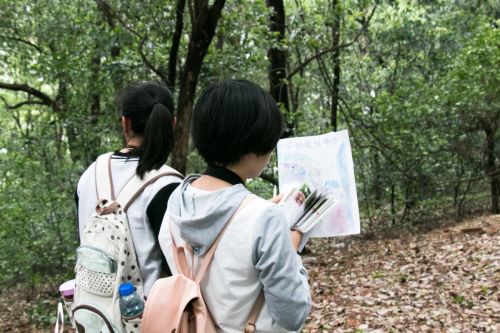 查看书籍 匹配鸟种