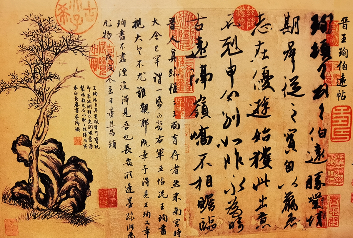 图为华中农业大学展出的《三希堂法帖》复制件。新华网发