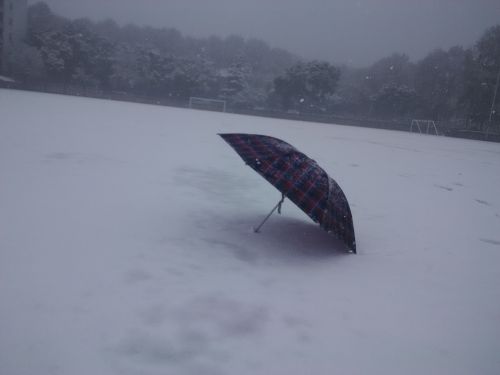 美丽的第一运动场