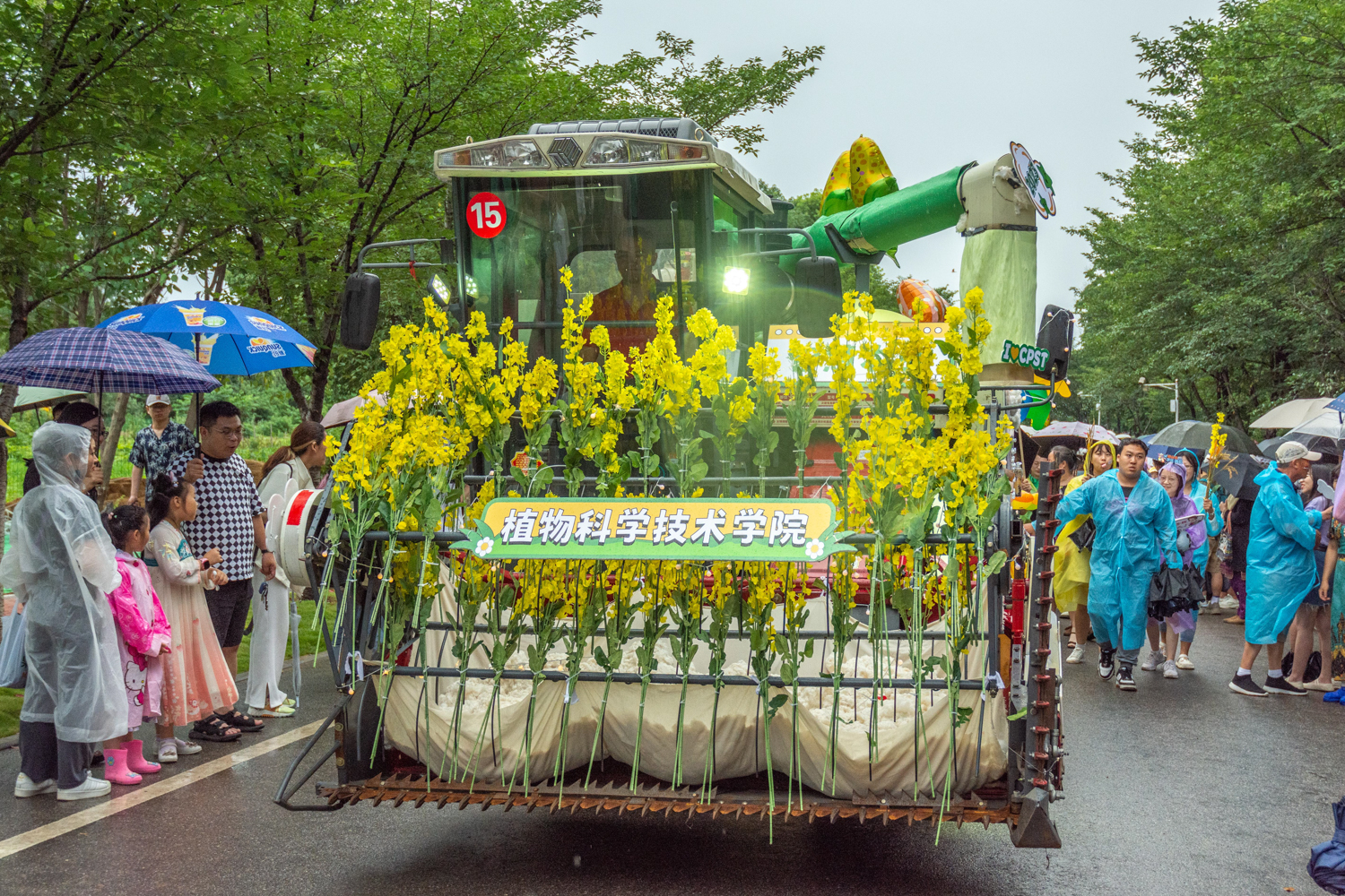 植物科学技术学院的油菜花车（学通社记者 周仁杰 摄）-30