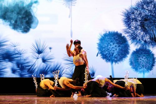 绿艺林风集体舞蹈