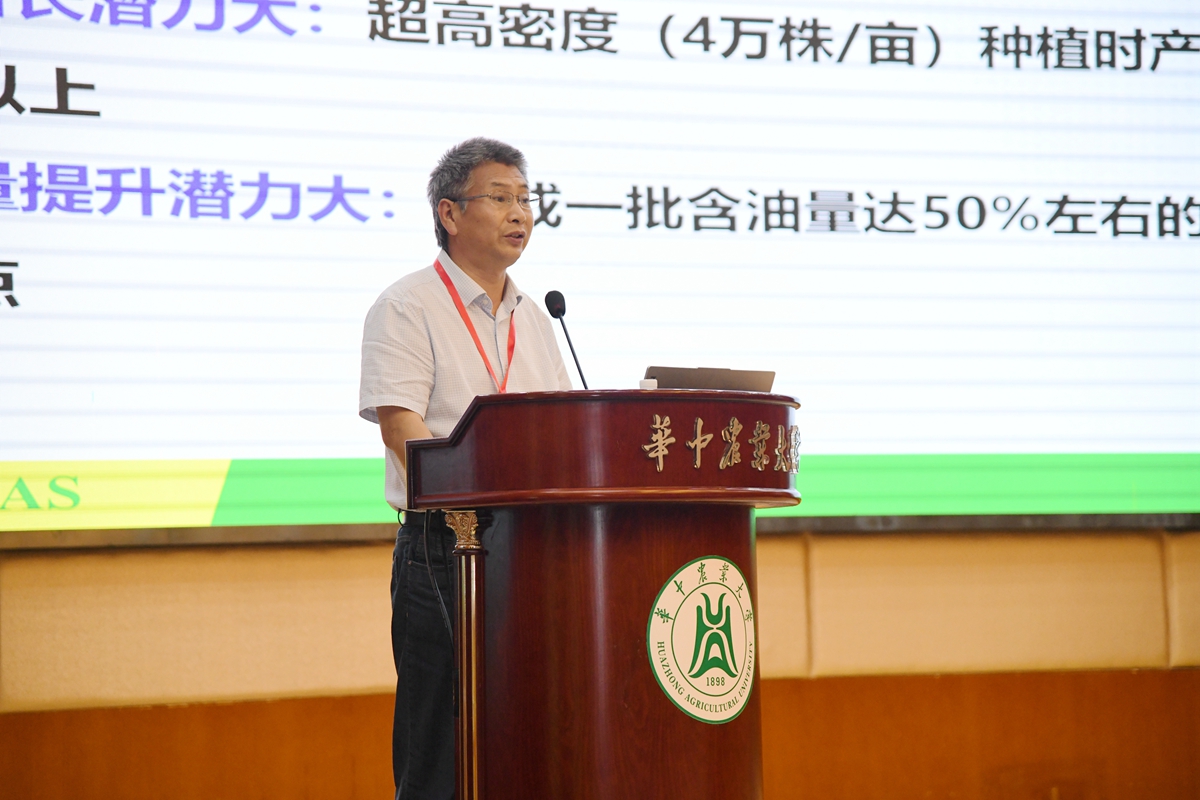 8 中国农业科学院油料作物研究所王新发老师上台推介“高产高油优质多抗油菜新品种中油杂41”(通讯员 徐行 摄)